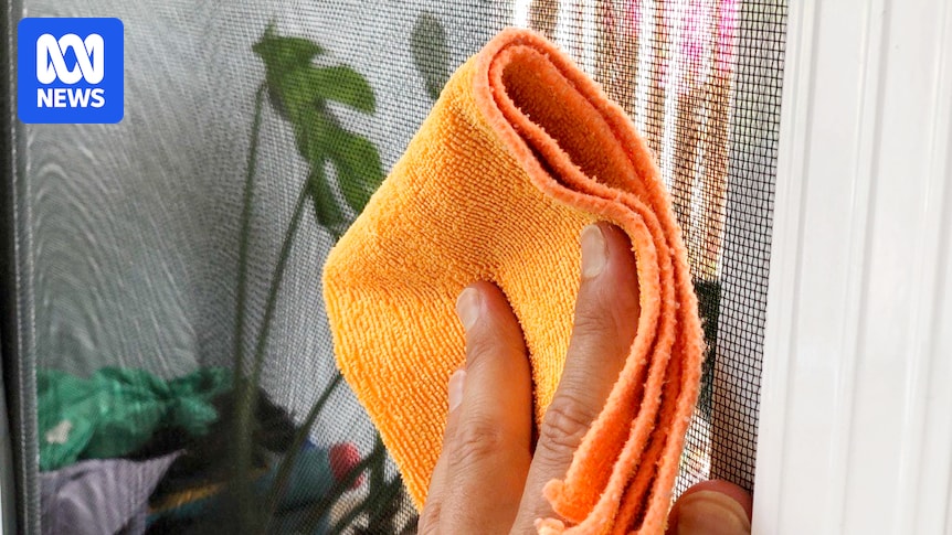 Here's how to clean fly screens and doors this spring 4