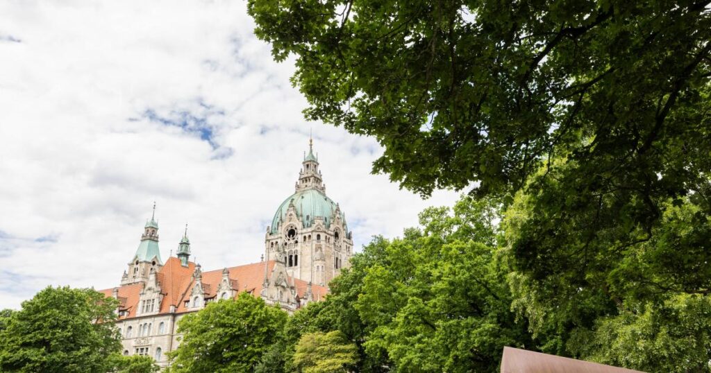 Climate neutrality in cities: how to make best use of negative emissions? 1